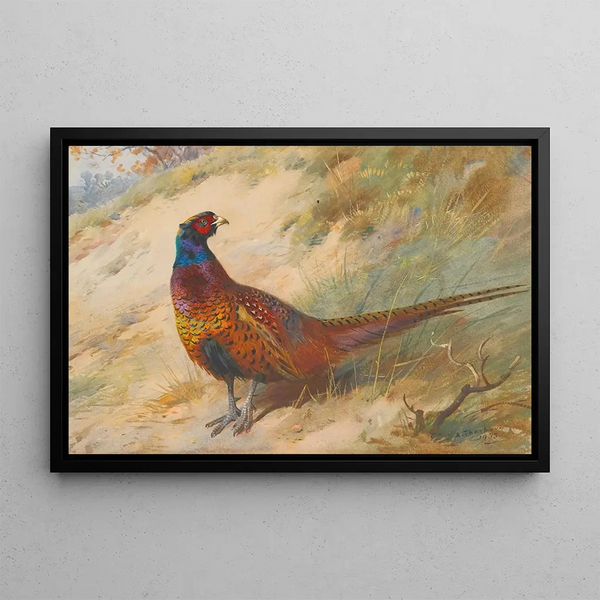 Fasan - Archibald Thorburn — gerahmtes Bild an der Wand