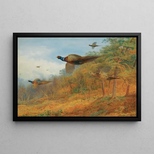 Faisans sortant du couvert - Archibald Thorburn — gerahmtes Bild an der Wand