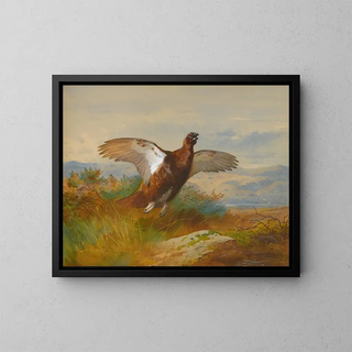 Archibald Thorburn - Red Grouse In Flight.webp
