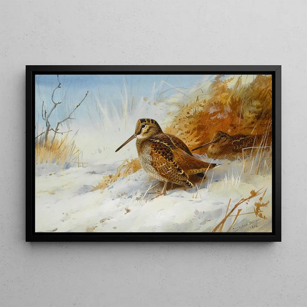 Bécasse d'hiver - Archibald Thorburn — gerahmtes Bild an der Wand