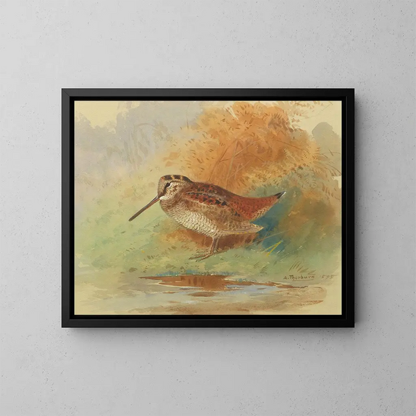 Bécasse am Wasserufer - Archibald Thorburn — gerahmtes Bild an der Wand