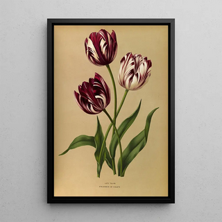 Arentina Hendrica Arendsen - Late Tulips.webp