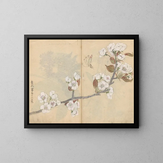 Ariyoshi Kondo - Sketchbook Pl006.webp