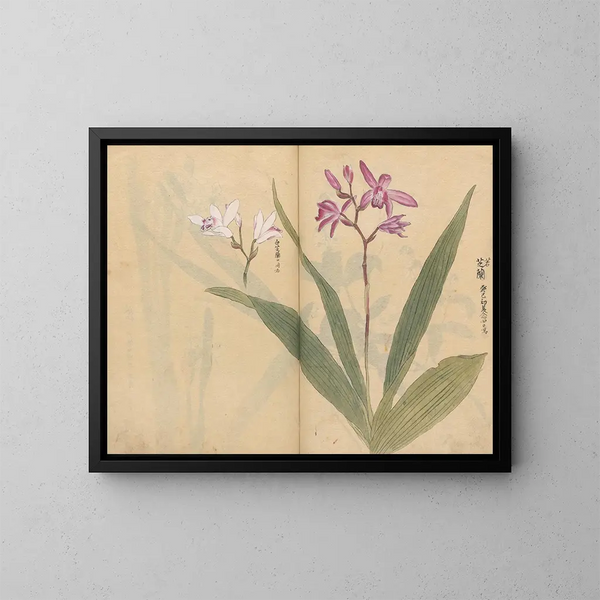 Skizzenbuch Pl015 - Ariyoshi Kondo — gerahmtes Bild an der Wand