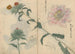Skizzenbuch Pl019 - Ariyoshi Kondo — Ansicht des Kunstwerks