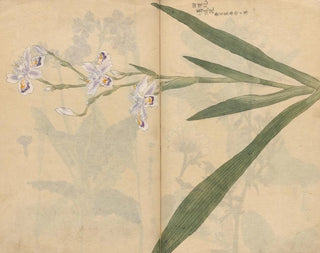Ariyoshi Kondo - Sketchbook Pl031.webp