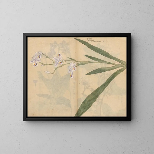 Skizzenbuch Pl031 - Ariyoshi Kondo — gerahmtes Bild an der Wand