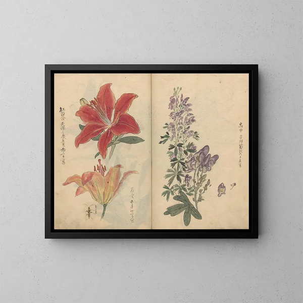 Skizzenbuch Pl046 - Ariyoshi Kondo — gerahmtes Bild an der Wand