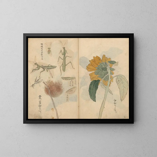 Ariyoshi Kondo - Sketchbook Pl048.webp