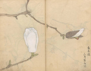 Ariyoshi Kondo - Sketchbook Pl051.webp