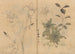 Carnet di Schizzi Pl055 - Ariyoshi Kondo — vista dell’opera