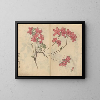 Ariyoshi Kondo - Sketchbook Pl056.webp