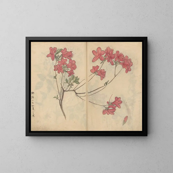 Skizzenbuch Pl056 - Ariyoshi Kondo — gerahmtes Bild an der Wand
