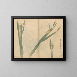 Ariyoshi Kondo - Sketchbook Pl058.webp