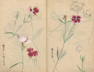 Ariyoshi Kondo - Sketchbook Pl059.webp