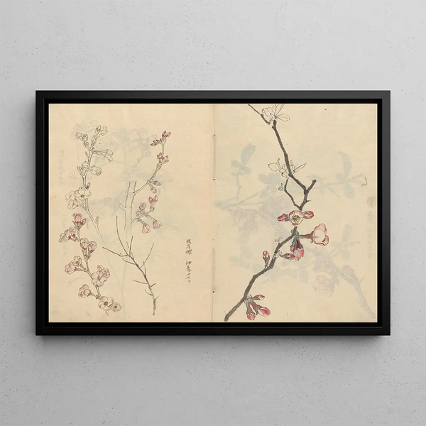 Ariyoshi Kondo - Sketchbook Pl067.webp