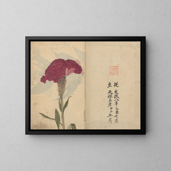 Skizzenbuch Pl068 - Ariyoshi Kondo — gerahmtes Bild an der Wand