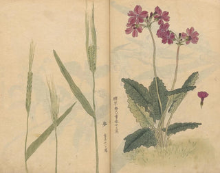 Ariyoshi Kondo - Sketchbook Pl073.webp