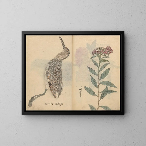 Skizzenbuch Pl074 - Ariyoshi Kondo — gerahmtes Bild an der Wand