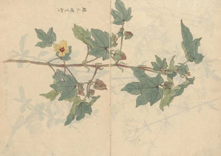 Ariyoshi Kondo - Sketchbook Pl075.webp