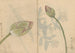 Carnet de Croquis Pl078 - Ariyoshi Kondo — Ansicht des Kunstwerks
