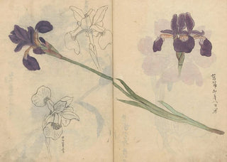 Ariyoshi Kondo - Sketchbook Pl085.webp