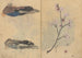 Skizzenbuch Pl086 - Ariyoshi Kondo — Ansicht des Kunstwerks