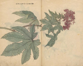 Ariyoshi Kondo - Sketchbook Pl095.webp