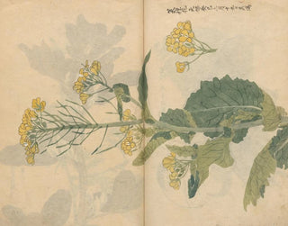 Ariyoshi Kondo - Sketchbook Pl099.webp