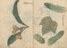Skizzenbuch Pl101 - Ariyoshi Kondo — Ansicht des Kunstwerks