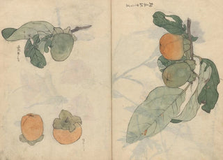 Ariyoshi Kondo - Sketchbook Pl106.webp