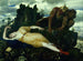 Diane addormentata sorvegliata da due fauni - Arnold Böcklin — vista dell’opera