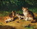 Neugierige Kätzchen mit einer Schnecke - Arthur Alfred Brunel de Neuville — Ansicht des Kunstwerks