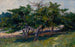 Paesaggio con alberi - Arthur Cumming — vista dell’opera
