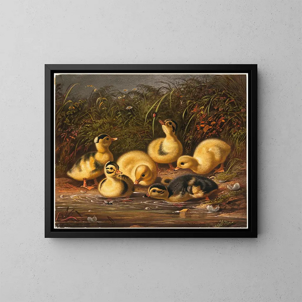 Gruppo di paperotti - Arthur Fitzwilliam Tait — quadro incorniciato alla parete