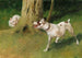 Dog and cat - Arthur Heyer — artwork view