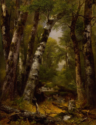 Asher Brown Durand - Woodland Glen.webp