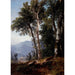 Paesaggio boscoso - Asher Brown Durand — vista dell’opera