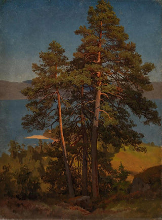 August Cappelen - Pinetrees.webp