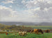 Pascolo in Auvergne - Auguste Bonheur — vista dell’opera