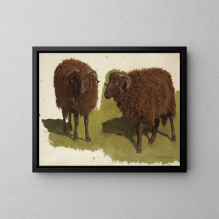 Auguste Bonheur - Study Of Black Rams.webp
