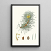 Pinus laricio, Corsican pine - Aylmer Bourke Lambert — framed artwork on a wall