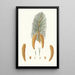 Pinus monticola Weymouth pine with short leaves Western white pine - Aylmer Bourke Lambert — framed artwork on a wall