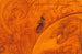 Moissonneurs - B Jesus Newton — Ansicht des Kunstwerks