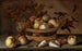 Un paniere con ciliegie, mele, pesche e un grappolo d'uva circondato da mele, pesche, conchiglie, api e una libellula - Balthasar van der Ast — vista dell’opera