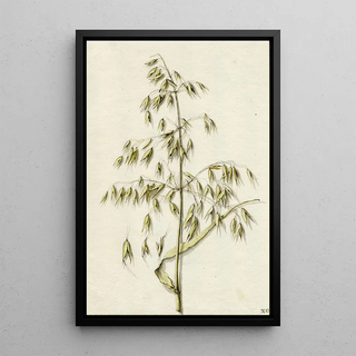 Barend Hendrik Thier - Rijpe haver.webp