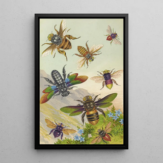 Barret And Sons - Beautiful Exotic Bees.webp