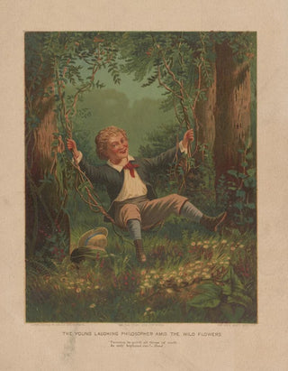 Bencke Scott - The young laughing philosopher amid the wild flowers.webp
