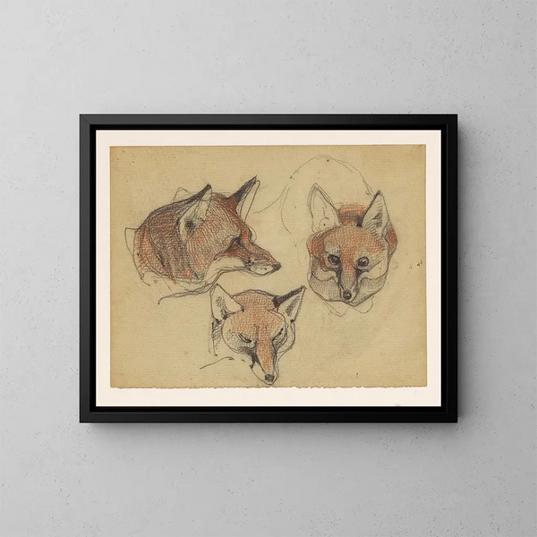 Drei Köpfe von Fuchs - Bernard Willem Wierink — gerahmtes Bild an der Wand