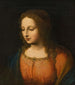 Portrait of a Woman - Bernardino Luini — artwork view
